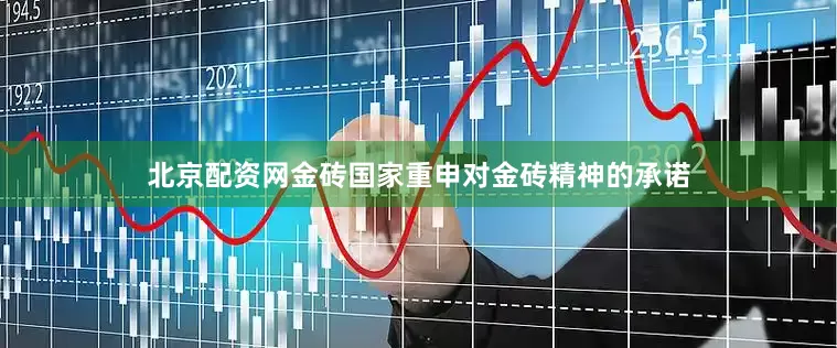 北京配资网金砖国家重申对金砖精神的承诺