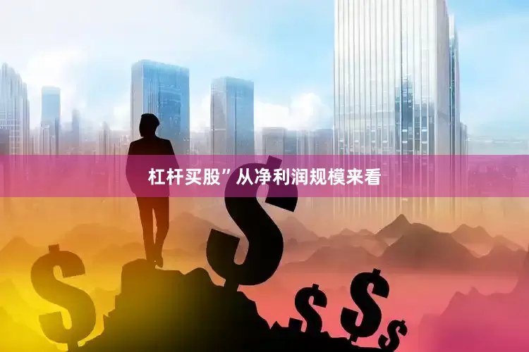 杠杆买股”　　从净利润规模来看