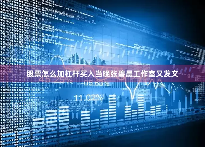 股票怎么加杠杆买入当晚张碧晨工作室又发文